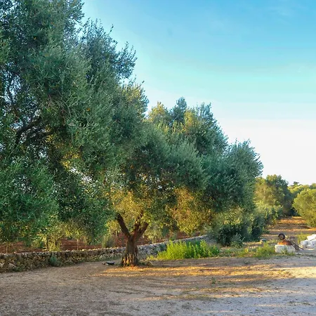 Oasi Degli Allori Bed & Breakfast *